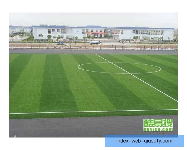 足球草坪安装全过程视频直播教学与施工要点解析标准流程实战分享
